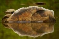 Boulder;Brook;Creek;Cumberland-Mountains;Geological;Geology;Reflection;Reflectio