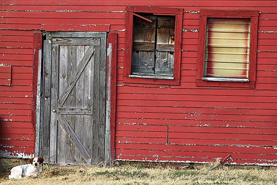 Agriculture;Architecture;Barn;Farm;Farming;Ranch;Plantation;Estate;Family Farm;Garden;Cultivate