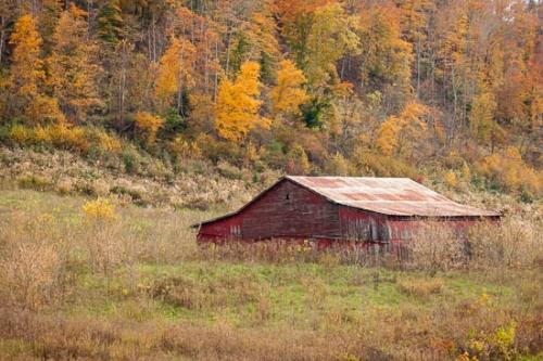 Agricultural;Barn;Brown;Clinch River;Field;Fields;Forest;Forested;Gold;Green;Hill;Hillside;Kyles Ford;Orange;Red;Tan;Tennessee;Trees;United States;Woodland;Woods;pasture