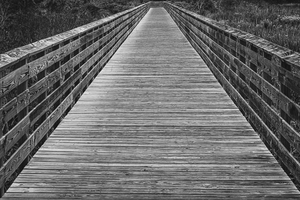 Black and White;Boardwalk;Florida;Gulf State Park;Minimalism;Swamp;United States;landscape;marsh;oneness;peaceful;zen
