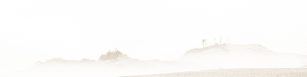 Beach;Beaches;Black and White;Dune';Dunes;Healing;Health care;Healthcare;Hill;Hillside;Mist;Modern;Nature;Obscured;Ocean;Oneness;Oregon;Oriental;Panoramic;Pastoral;Peaceful;Sand;Sea;Seascape;Sepia;Shore;Shoreline;Tree;Trees;Wabi Sabi;Waterscape;Waves;calm;contemporary;contemporary art;fog;foggy;haze;misty;modern art;restful;serene;soothing;sumi-e;tranquil;zen