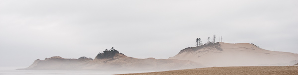 Beach;Beaches;Black and White;Dune';Dunes;Healing;Health care;Healthcare;Hill;Hillside;Mist;Modern;Nature;Obscured;Ocean;Oneness;Oregon;Oriental;Panoramic;Pastoral;Peaceful;Sand;Sea;Seascape;Sepia;Shore;Shoreline;Tree;Trees;Wabi Sabi;Waterscape;Waves;botanicals;calm;contemporary;contemporary art;fog;foggy;haze;misty;modern art;restful;serene;soothing;tranquil;zen