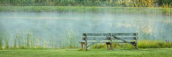 Forest;Forested;Grass;Green;Healing;Health care;Healthcare;Lake;Landscape;Mirror;Mist;Obscured;Ohio;Panoramic;Peaceful;Pond;Reflection;Reflections;Tan;Trees;Water;Woods;bench;bench seat;calm;fog;foggy;haze;misty;pool;restful;serene;soothing;tranquil