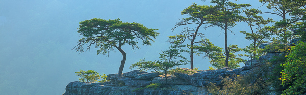 Aqua;Blue;Bluff;Boulder;Boulders;Branches;Buzzard's Roost;Calm;Fall Creek Falls State Resort Park;Healing;Health care;Healthcare;Hill;Minimalism;Mountain;Mountain Top;Mountainous;Nature;Pastoral;Pikeville;Rock;Rock formations;Rocks;Rocky;State Park;Stone;Stones;Summit;Sunlight;Sunshine;Tennessee;Tree;United States;cliff;green;landscape;leaves;limbs;oneness;peaceful;plants;restful;serene;soothing;sunlit;tranquil;tree limbs;trees;trunk;zen