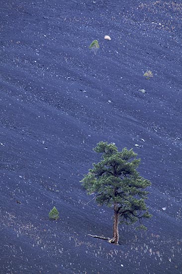 Arizona;Blue;Brown;Green;Mountain;Mountains;Natural;Nature;Outdoor;Plants;Rocks;Trees;Volcanic