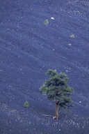 Arizona;Blue;Brown;Green;Mountain;Mountains;Natural;Nature;Outdoor;Plants;Rocks;