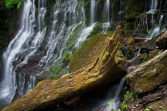 Chute;Cool;Falling;Falls;Flow;Flowing;Forest;Green;Machine Falls;Short Springs State Natural Area;Spilling;Stream;Tennessee;Timber;Timberland;Tullahoma;Water;Waterfall;Waterfalls;Wet;Wood;Woodland;Woodlands;Woods