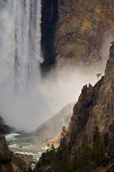 Bark;Boulder;Branch;Branches;Brown;Chute;Contour;Cool;Falling;Falls;Flow;Form;Geological;Geology;Grand Canyon of Yellowstone;Herbaceous;Lower Falls;Outline;Plant;Profile;Rock;Rock Formations;Rocks;Shadow;Shape;Silhouette;Spilling;Stone;Stones;Stream;Striation;Tree;Tree Trunk;Trees;Trunk;Water;Waterfall;Waterfalls;Wet;White;Wyoming;Yellowstone National Park;Yellowstone River