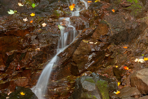 Botanical;Boulder;Boulders;Brown;Calm;Cascade;Cascading;Chute;Fallen;Fallen Leaves;Falling;Falls;Flow;Gold;Healing;Health care;Healthcare;Leaf;Minimalism;Nature;New Jersey;Palisades Interstate Park;Pastoral;Pouring;River;Rock;Rock formations;Rocks;Rocky;Spilling;Stone;Stones;Stream;Streaming;Tan;Veins;Wabi Sabi;Water;Waterfalls;Waterscape;Yellow;flowing;foliage;landscape;leaves;oneness;orange;peaceful;plant;rapids;red;restful;serene;soothing;tranquil;waterfall;zen