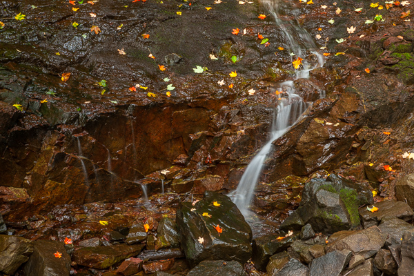 Botanical;Boulder;Boulders;Brown;Calm;Cascade;Cascading;Chute;Fallen;Fallen Leaves;Falling;Falls;Flow;Gold;Healing;Health care;Healthcare;Leaf;Minimalism;Nature;New Jersey;Palisades Interstate Park;Pastoral;Pouring;River;Rock;Rock formations;Rocks;Rocky;Spilling;Stone;Stones;Stream;Streaming;Tan;Veins;Wabi Sabi;Water;Waterfalls;Waterscape;Yellow;flowing;foliage;landscape;leaves;oneness;orange;peaceful;plant;rapids;red;restful;serene;soothing;tranquil;waterfall;zen