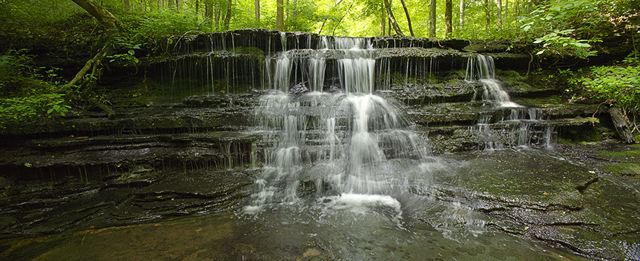 Waterfall;Tennessee;Williamson County;Cliff;Rock Face;Sheer;Steep;Stream;Water;Flowing;Pouring;Cool;Wet;Flow;Cascade;Cascading;Spray;Cataract;Falls;Chute;Falling;Spilling;Creek;Brook;Rivulet;Tributary;Gush;Streamlet;Torrent;White Water;Rapids;Bubbling;River;Forest;Trees;Leaves;Leaf;Plants;Woods;Bark;Outdoors;Nature;Natural;Woodland