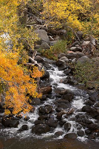 Waterfall;Rock Formations;Rocks;Stream;Trees;River;Water;Flowing;Pouring;Power;Leaf;Leaves;Nature