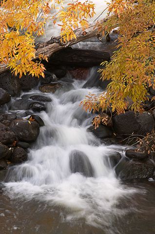 Waterfall;Rock Formations;Rocks;Stream;Trees;River;Water;Flowing;Pouring;Power;Leaf;Leaves;Nature