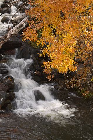 Waterfall;Rock Formations;Rocks;Stream;Trees;River;Water;Flowing;Pouring;Power;Leaf;Leaves;Nature