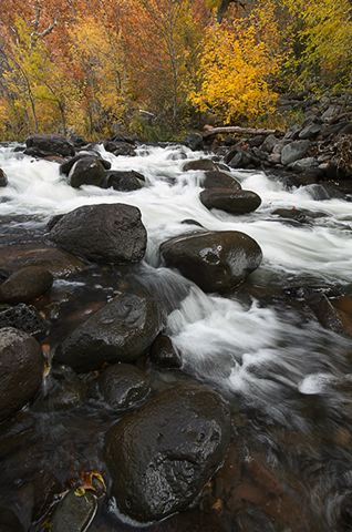 Waterfall;Stream;Rock Formations;Rocks;River;Water;Flowing;Pouring;Power;Leaf;Leaves;Nature