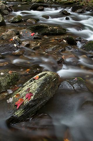 Waterfall;Stream;Water;Flowing;Pouring;Cool;Wet;Flow;Fall Scenes;Forest;Leaf;Leaves;Nature;Trees;Ledge;Mountain;Cliff;Precipice;Peak;Mountain Top;Rock Formations;Rocks;Boulder;Vertical;High;Power;Powerful;Scenic View;Scenics;Summit