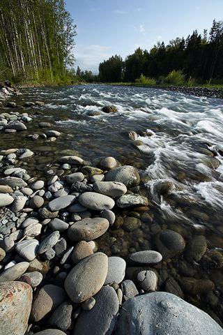 River;Rivers;Stream;Flowing;Rushing;Water;Rapids;Creek;Brook;Pour;Pouring;White Water