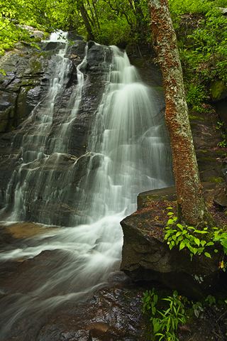 Waterfall;Stream;Water;Flowing;Pouring;Cool;Wet;Flow;Cascade;Cascading;Spray;Forest;Trees;Leaves;Leaf;Plants;Woods;Bark;Outdoors;Nature;Natural;Woodland