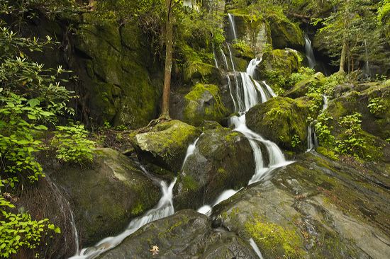 Waterfall;Stream;Water;Flowing;Pouring;Cool;Wet;Flow;Cascade;Cascading;Spray