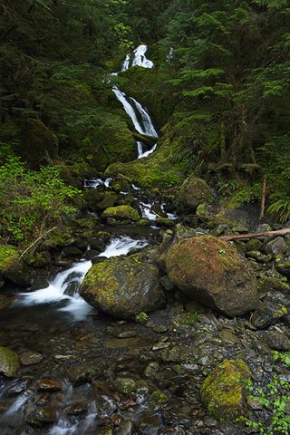 Cumberland Plateau;Canyon;Cliff;Bluff;Rock Face;Rock Formations;Sheer;Steep;Waterfall;Stream;Water;Flowing;Pouring;Cool;Wet;Flow;Cascade;Cascading;Spray
