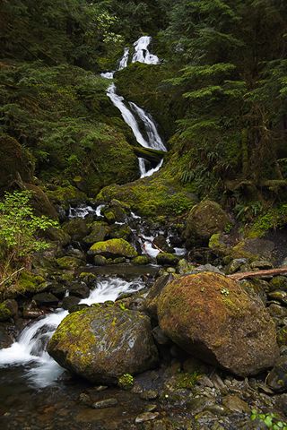 Cumberland Plateau;Canyon;Cliff;Bluff;Rock Face;Rock Formations;Sheer;Steep;Waterfall;Stream;Water;Flowing;Pouring;Cool;Wet;Flow;Cascade;Cascading;Spray