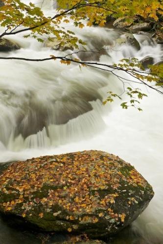 Spilling;Striation;Streamlet;Cascade;Boulders;Foliage;Great Smoky Mountains National Park;Chute;Cascading;Creek;Falling;Stones;Stream;Gray;Waterfalls;White;Geology;Orange;Leaves;Rocks;Flow;Falls;Stone;Rock Formations;Vein;Rivulet;Rocky;Brook;Leaf;Rock;Cool;Fall;Green;Pouring;Water;Waterfall;Streaming;Wet;Landscape;Boulder;Geological;Brown;Tennessee;Gold;Autumn;Leafy;Yellow