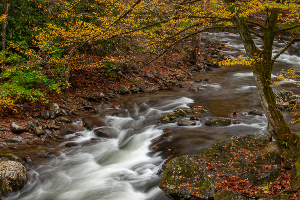 Autumn;Boulder;Boulders;Branches;Brook;Brown;Calm;Cascade;Cascading;Chute;Creek;Fall;Falling;Falls;Flow;Forest;Gold;Great Smoky Mountains National Park;Healing;Herbaceous;Leaf;Nantahala National Forest tranquil;Nature;Pastoral;Pouring;River;Rock;Rock formations;Rocks;Rocky;Spilling;Stone;Stones;Stream;Stream Bank;Streaming;Tan;Tennessee;Tree;Water;Waterfalls;Waterscape;Woodland;Yellow;branch;flowing;foliage;landscape;leaves;limbs;oneness;orange;peaceful;plants;rapids;restful;river bank;serene;soothing;tree limbs;tree trunk;trees;trunk;waterfall;wet;zen