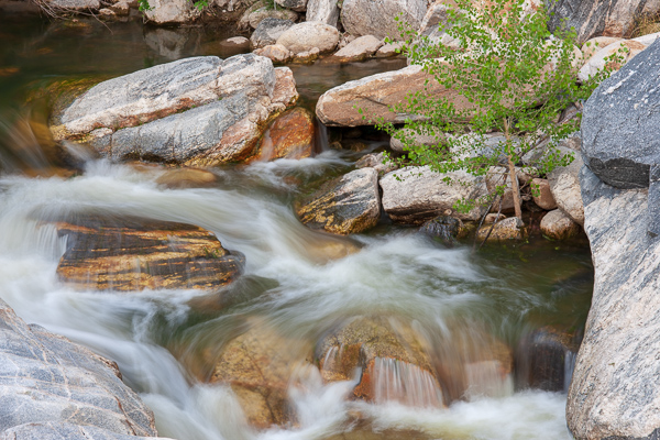 Arizona;Botanical;Boulder;Boulders;Branches;Brook;Brown;Calm;Cascade;Cascading;Chute;Creek;Falls;Flow;Geological;Geology;Healing;Health care;Healthcare;Nature;Pastoral;Pebble;Pebbles;Pouring;River;Rivers;Rivulet;Rock;Rock formations;Rocks;Rocky;Sabino Canyon;Spilling;Stone;Stones;Stream;Streaming;Streamlet;Tan;Tree;Warm Colors;Warm Palette;Warm Tones;Water;Waterfalls;Waterscape;color;desert;flowing;foliage;green;landscape;leaves;oneness;peaceful;rapids;restful;serene;soothing;striation;tranquil;trees;waterfall;waterway;wet;zen