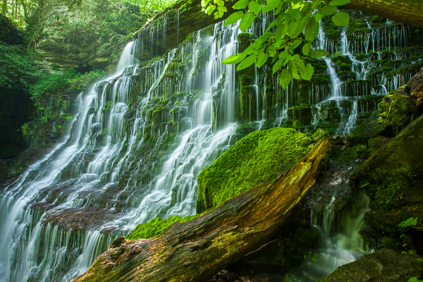 Water;Waterfall;Stream;Forest;Tennessee;tree trunk;Chute;Falls;Falling;Spilling;Machine Falls;Cool;Tullahoma;Wet;Short Springs State Natural Area;log;Flow;Waterfalls