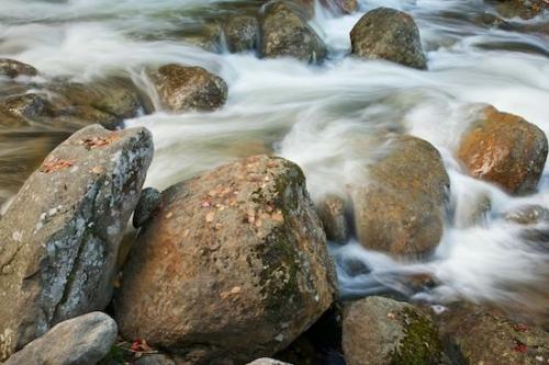 Boulders;Rocky;River Bed;Rock;Boulder;Waterfalls;Streaming;Pouring;water;Chute;Brook;Water;New Hampshire;Rocks;Rivers;Leaves;Leaf;waterway;Stone;Landscape;Riverbed;Stream;Cascade;Cascading;Stones;River;Creek;Waterfall;New England;Rock Formations