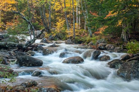 Autumn;Boulder;Boulders;Branches;Brown;Calm;Cascade;Chute;Creek;Fall;Falls;Flow;Forest;Forested;Gold;Healing;Health care;Healthcare;Nature;New England;New Hampshire;Pastoral;Pouring;River;Rock;Rock formations;Rocks;Stone;Stones;Stream;Stream Bank;Streaming;Sunlight;Sunshine;Tan;Timber;Timberland;Tree;Water;Waterfalls;Waterscape;Wood;Woods;Yellow;flowing;green;landscape;leaves;limbs;oneness;orange;peaceful;plants;rapids;restful;river bank;serene;soothing;sunlit;tree limbs;trees;trunk;waterfall;zen