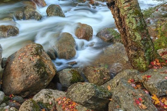 Autumn;Boulder;Boulders;Branches;Brook;Brown;Calm;Cascade;Cascading;Chute;Creek;Fall;Fallen;Fallen Leaves;Falls;Flow;Forest;Geological;Geology;Gold;Habitat;Healing;Health care;Healthcare;Leaf;Nature;New England;New Hampshire;Pastoral;Pouring;River;Riverbed;Rivers;Rock;Rock formations;Rocks;Rocky;Seasons;Spilling;Stone;Stones;Stream;Stream Bank;Streaming;Tan;Tree;Wabi Sabi;Water;Waterfalls;Waterscape;Woodland;Woods;Yellow;bark;flowing;foliage;green;landscape;leaves;oneness;orange;peaceful;rapids;red;restful;river bank;serene;soothing;tranquil;tree trunk;trees;trunk;waterfall;waterway;zen