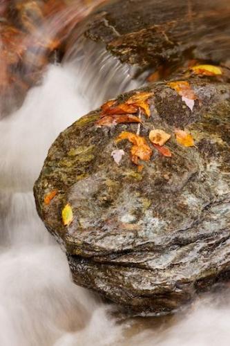 Vermont;Boulders;Wabi Sabi;Spilling;Falling;Stones;New England;Rock;Gray;Leaf;Stone;Cascade;Tan;Water;Orange;Boulder;Pouring;Wet;Rapids;Leaves;Rocks;Brown;Fallen;Flow;Waterfall;Waterfalls;Chute;Yellow;Cool;Falls;Cascading;Stream
