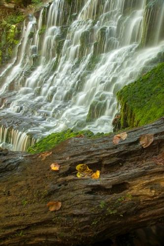 Botanical;Calm;Cascade;Cascading;Chute;Cool;Fallen;Fallen Leaves;Falling;Falls;Flow;Healing;Health care;Healthcare;Leaf;Machine Falls;Moss;Nantahala National Forest;Pastoral;Petal;Pouring;Short Springs State Natural Area;Spilling;Stream;Streaming;Tennessee;Tullahoma;Wabi Sabi;Water;Waterfalls;foliage;green;leaves;oneness;peaceful;plant;rapids;restful;serene;soothing;tranquil;waterfall;wet;zen