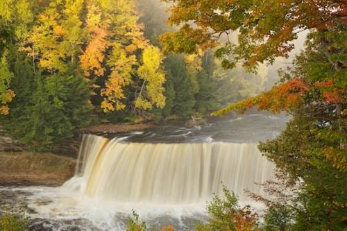 Water;Michigan;Waterfalls;Falls;Trees;Tahquamenon Falls;Streaming;Waterfall;Upper Peninsular;Woodland;Cascading;Cascade;Pouring;Great Lakes;Fall;Woods;Forest;Autumn;Tree