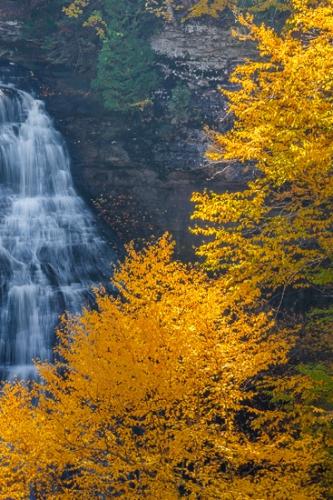 Autumn;Blue;Bluff;Branches;Brown;Calm;Cascade;Cascading;Chute;Creek;Fall;Falls;Flow;Gold;Great Lakes;Healing;Health care;Healthcare;Michigan;Mountain;Mountain Side;Mountain Top;Mountainous;Mountains;Nature;Pouring;River;Rock Face;Stream;Stream Bank;Streaming;Summit;Tan;Tree;United States;Upper Peninsular;Water;Waterfalls;Waterscape;Yellow;cliff;flowing;green;hillside;landscape;leaves;limbs;oneness;orange;peaceful;rapids;restful;river bank;serene;soothing;tranquil;tree limbs;trees;waterfall;zen