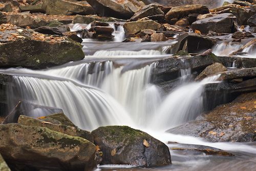 Ricketts Glenn State Park;Cliff;Brown;Rock Face;Autumn;Stream;Pennsylvania;Fall;Water;Escarpment;West Virginia;Ledge;Precipice;Chute;Pouring;Cascade;Sandstone Falls;Bluff;Streaming;Waterfalls;Falls;Waterfall;Cascading