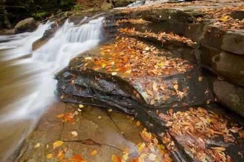 Cascade;Rock Formations;Waterfall;Chute;Orange;Leaves;Cascading;Fallen;Rocks;Brown;Waterfalls;Yellow;waterfall;Rock Face;Stream;Gray;Pouring;Falls;Ricketts Glenn State Park;Fallen Leaves;Gold;Leafy;Rocky;Streaming;Water;Tan;Foliage;Wabi Sabi;Pennsylvania;Leaf