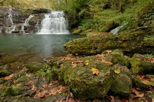 Autumn;Boulder;Boulders;Brown;calm;Cascade;Cascading;Chute;Fall;Fallen;Fallen Leaves;Falls;Foliage;Forest;Geology;Gold;Green;Healing;Health care;Healthcare;Landscape;Leaf;Leaves;Oneness;Orange;Peaceful;Pouring;Rapids;restful;River;Rock, Rock Formations;Rocks;Rocky;Rutledge Falls;serene;soothing;Stone;Stones;Stream;Streaming;Tan;Tennessee;tranquil;Tullahoma;Water;Waterfall;Waterfalls, Woodland;Woods;Yellow;zen