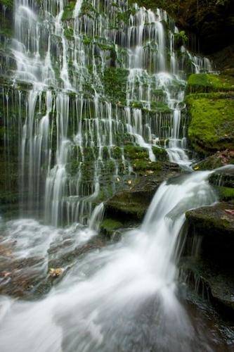 Stones;Cascade;Rocks;Plant;Greenery;Boulder;flowing;Stream;Short Springs State Natural Area;Waterfall;Boulders;Rock;Pouring;Chute;Stone;Plants;Vegetation;Water;water;Maple;Streaming;Rock Face;Falls;Cascading