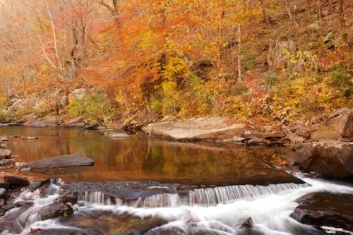 Orange;Boulders;reflection;Yellow;Hillside;trees;river;Rock;Fall;Red;Gorge;Boulder;leaves;Tan;Mountainside;Little River Canyon National Preserve;Brown;Forest;Gray;flow;Green;flowing;reflections;Rock Formations;Rocky;Stream;water;Pouring;Alabama;Autumn;Gold;Rocks