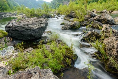 Boulder;Boulders;Brook;Cascade;Chute;Creek;Flow;Geology;Green;Healing;Health care;Healthcare;Landscape;Modern;Nature;Oneness;Peaceful;Plant;Pouring;Rapids;River;Rock;Rock Formations;Rock Island State Park;Rocks;Rocky;Spring;Springtime;Stone;Stones;Stream;Stream Bank;Streaming;Water;Waterfall;Waterfalls;Waterscape;Wet;calm;contemporary;flowing;modern art;restful;river bank;serene;soothing;tranquil;zen