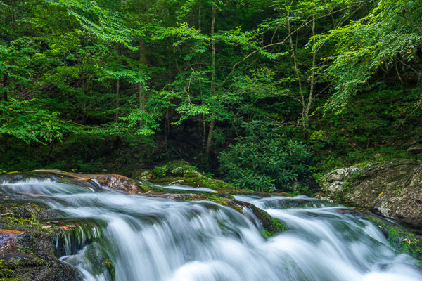 Boulder;Boulders;Brown;Calm;Cascade;Cascading;Chute;Falls;Flow;Forest;Forested;Geological;Great Smoky Mountains National Park;Healing;Health care;Healthcare;Moss;Nature;Pastoral;Pouring;River;Rock;Rock formations;Rocks;Rocky;Stone;Stones;Stream;Streaming;Timber;Timberland;Water;Waterfalls;Waterscape;Wood;Woodland;Woods;flowing;green;landscape;leaves;oneness;peaceful;rapids;restful;serene;soothing;tranquil;trees;waterfall;wet;zen