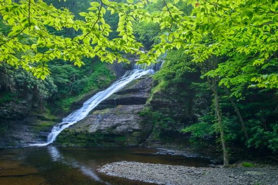 Bluff;Botanical;Boulder;Boulders;Brown;Calm;Cascade;Cascading;Chute;Cool;Dingmans Falls;Falling;Falls;Flow;Geological;Geology;Healing;Health care;Healthcare;Leaf;New Jersey;Pastoral;Pebbles;Pennsylvania;Pouring;River;Rock;Rock Face;Rock formations;Rocks;Rocky;Spilling;Stone;Stones;Stream;Streaming;Sunlight;Sunshine;Tan;Water;Waterfalls;cliff;foliage;green;leaves;oneness;peaceful;rapids;restful;serene;soothing;sunlit;tranquil;waterfall;zen