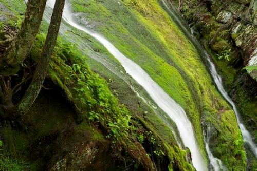 Tan;Patterns;mossy;Green;Plants;Cascading;Falls;cliff;Cascade;Buttermilk Falls State Park;Waterfall;Pouring;Rock Face;Rock;Abstraction;Abstract;Moss;Brown;Rock Formations;Trees;Rocks;Vegetation;New Jersey;Greenery;Streaming;Textures;Water;Abstracts;Chute;Waterfalls