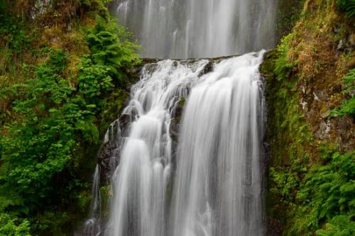 Brown;Cascade;Cascading;Chute;Columbia River Gorge;Falling;Falls;Fern;Flow;Foliage;Gold;Green;Multnomah Falls;Oregon;Pouring;Rock Face;Rock Formations;Spilling;Stream;Streaming;Tan;Water;Waterfall;Waterfalls