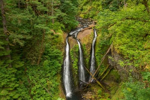 Cascade;Chute;Falls;Fern;Forest;Forested;Green;Oneness;Oregon;Peaceful;Pouring;Streaming;Timber;Timberland;Tree;Trees;Triple Falls;Trunk;Waterfall;Wood;Woodland;Woods;zen