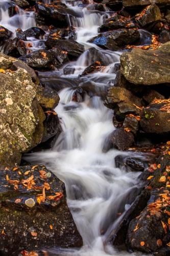 Abstract;Autumn;Blue Ridge Parkway;Boulder;Boulders;Brown;Calm;Cascade;Cascading;Chute;Cool;Fall;Fallen;Fallen Leaves;Falling;Falls;Flow;Gold;Healing;Health care;Healthcare;Leaf;Nature;North Carolina;Pouring;Ripple;Rock;Rock formations;Rocks;Rocky;Spilling;Stone;Stones;Stream;Streaming;Tan;Wabi Sabi;Warm Colors;Warm Palette;Warm Tones;Water;Waterfalls;Waterscape;Yellow;color;foliage;landscape;leaves;oneness;orange;peaceful;plant;rapids;restful;serene;soothing;tranquil;waterfall;wet;zen