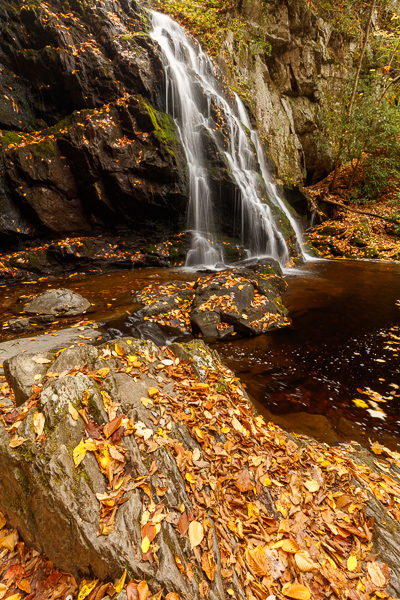 Autumn;Blossom;Blossoms;Bluff;Boulder;Boulders;Branches;Brown;Calm;Cascade;Cascading;Chute;Concepts;Cool Colors;Cool Palette;Cool Tones;Creek;Fall;Fallen;Fallen Leaves;Falling;Falls;Floweret;Flowering;Flowers;Forest;Forested;Great Smoky Mountains National Park;Green;Greens;Habitat;Healing;Health care;Healthcare;Hill;Leaf;Leaves;Minimalism;Nature;Oneness;Pastoral;Pouring;Rock;Rock formations;Rocks;Spilling;Spruce Flat Falls;Stone;Stones;Stream;Streaming;Tennessee;Timber;Timberland;Tree;United States;Water;Waterfalls;Waterscape;Wood;Woodland;Woods;Yellow;bloom;cliff;color;flora;floral;flower;flowing;foliage;landscape;peaceful;plants;restful;serene;soothing;tranquil;tree;tree limbs;trees;waterfall;zen