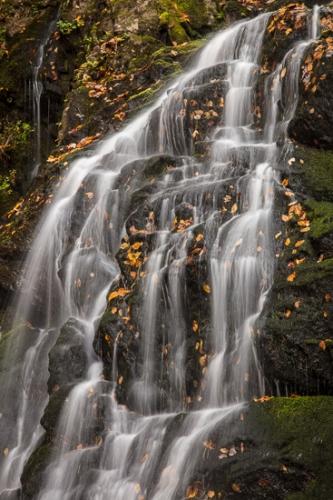 Autumn;Brown;Calm;Cascade;Cascading;Chute;Close-up;Cool;Fall;Fallen;Fallen Leaves;Falling;Falls;Flow;Gold;Great Smoky Mountains National Park;Healing;Health care;Healthcare;Leaf;Macro;Nature;Pouring;Rock;Rock formations;Rocks;Rocky;Spilling;Spruce Flat Falls;Stone;Stones;Stream;Tan;Tennessee;United States;Wabi Sabi;Warm Colors;Warm Palette;Warm Tones;Water;Waterfalls;Yellow;color;flowing;landscape;leaves;orange;peaceful;restful;serene;soothing;tranquil;waterfall;wet;yellow